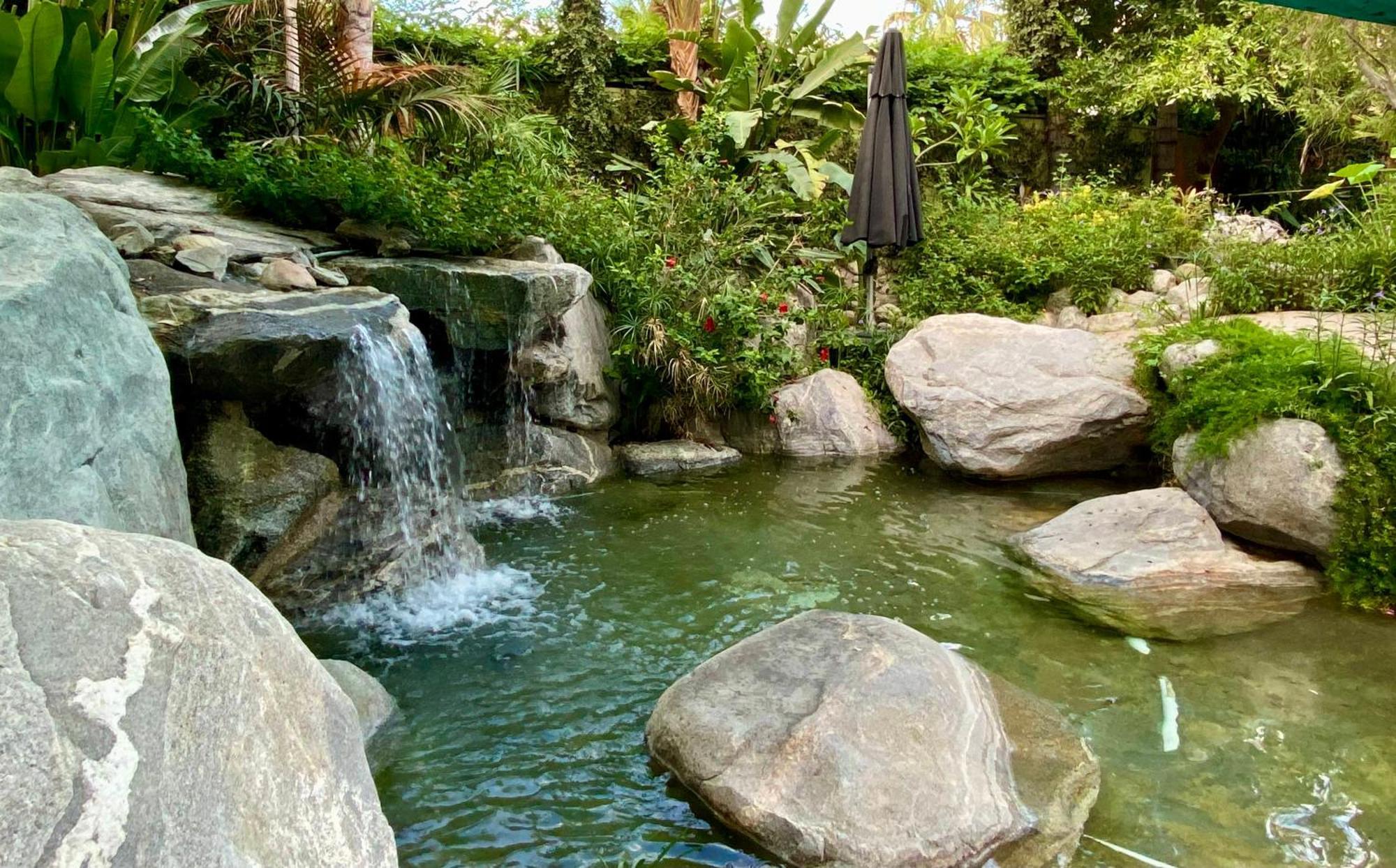 Vista Grande Resort - A Gay Men'S Resort Palm Springs Eksteriør bilde